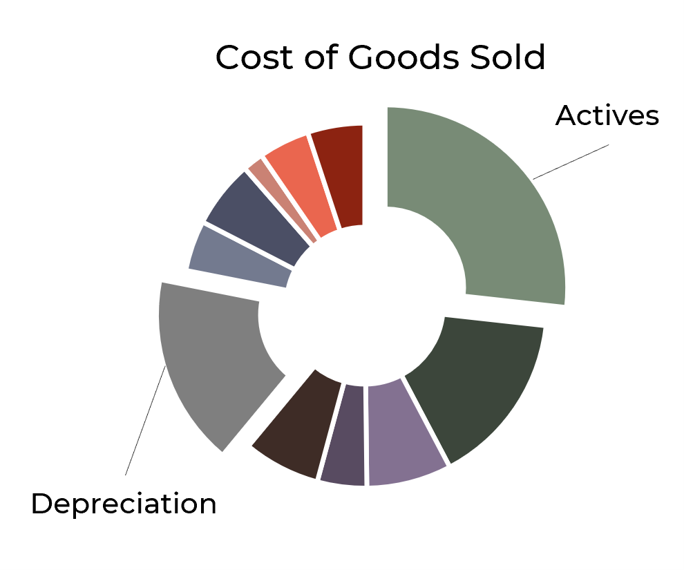 CellVision – Battery Cost & Performance Modeling